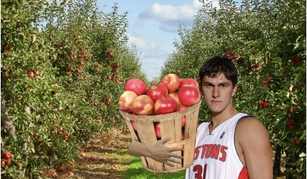 Retired NBA Stars with the Most Random Post-Retirement Jobs